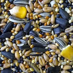 Seeds
