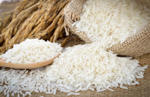 Rice