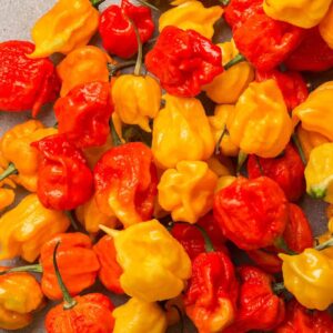 Pepper