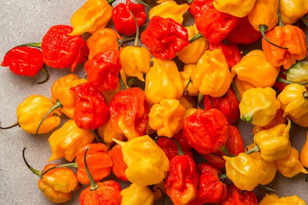 Pepper