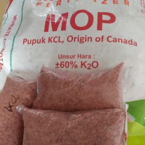 MOP – Muriate of Potash (KCl – 60% K₂O)