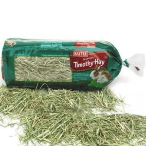 Timothy Hay