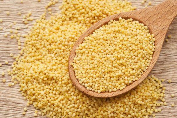 Millet