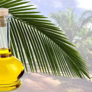 Refined Palm Oil