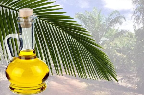 Refined Palm Oil