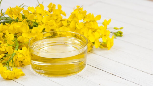Canola Oil