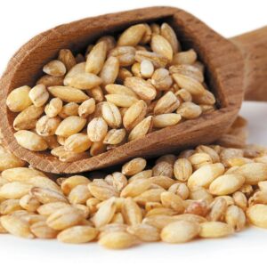 Barley