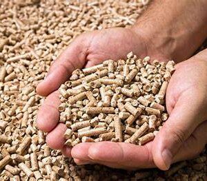 Wood Pellets